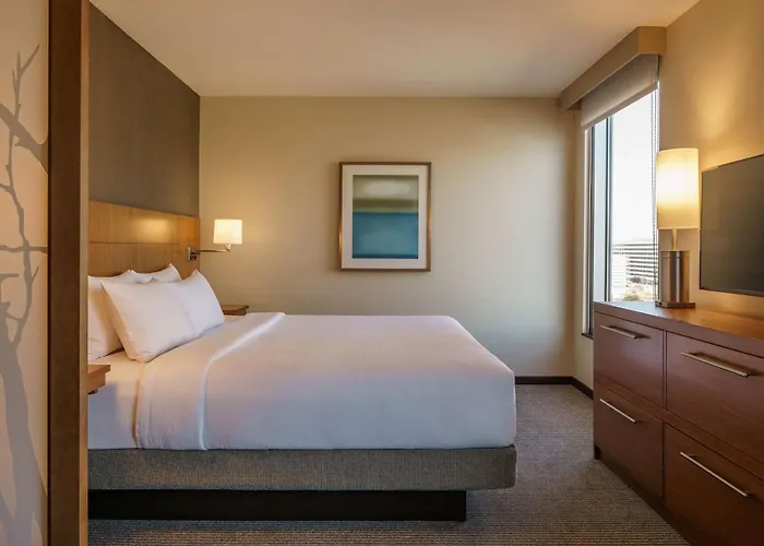 Hyatt Place Houston/Galleria