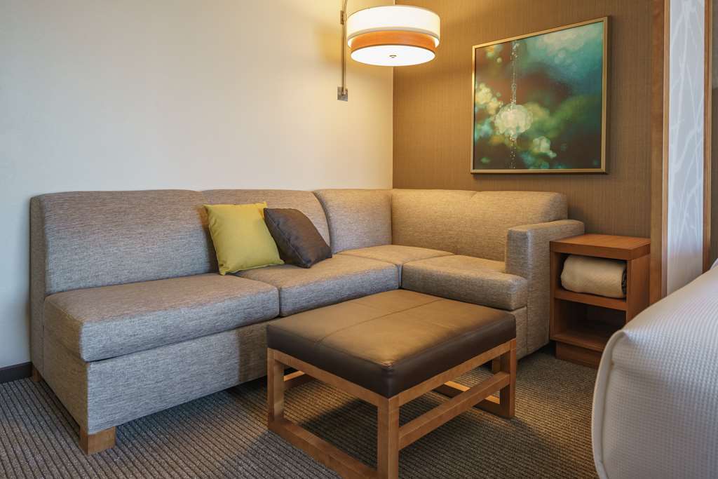 Hotel Hyatt Place Galleria Houston